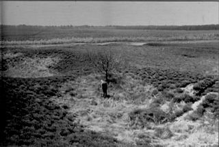 IJzerkuilen op de Asselsche Heide (midden op de foto J.D. Moerman.)