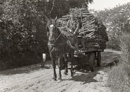 Paard en wagen geladen met bossen schors, voor op de bok Bart van de Bospoort uit Lunteren