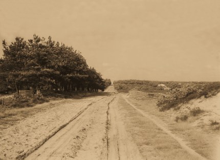 De oude Hessenweg op de Veluwe in 1925 - Foto: Jac. Gazenbeek klik om te vergroten