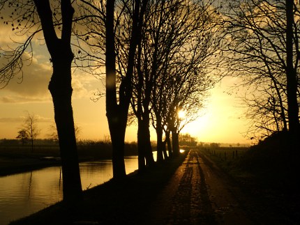zie ik tussen de bomen langs de oude vaart, de zon steeds hoger klimmen - Foto: ©Louis Fraanje