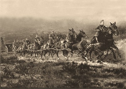 Demonstratie van een aanspanning van tien paarden met een 7-Veld kanon op de Ginkelse Heide Foto: ©Gemeentearchief Ede 