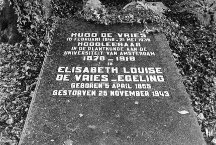 Het graf van Hugo de Vries op de begraafplaats van Lunteren
