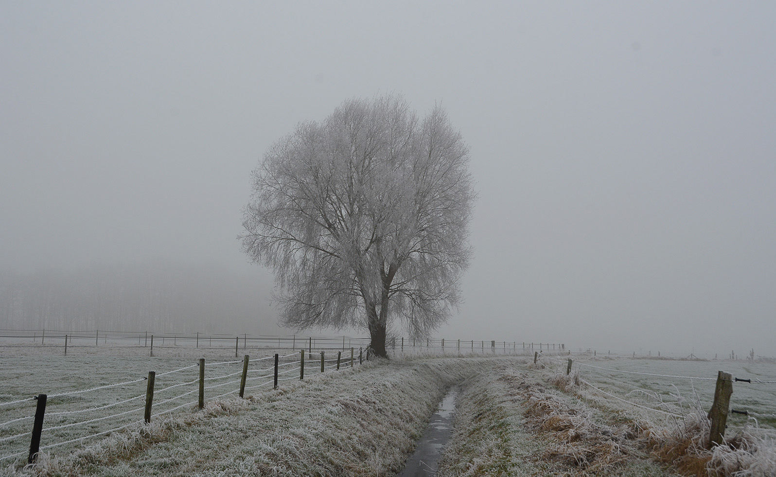 dc_0290Een mooi winters landschap op de Veluwe - Foto: ©Fransien Fraanje Filosofische kant