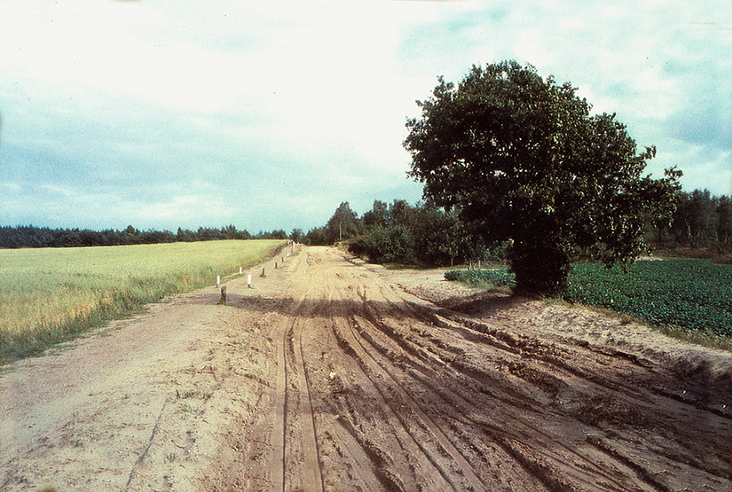 De oude Hessenweg bij Lunteren in 1961, tooen nog zandweg - Foto: ©JGS/A.P. Valkenburg (†)
