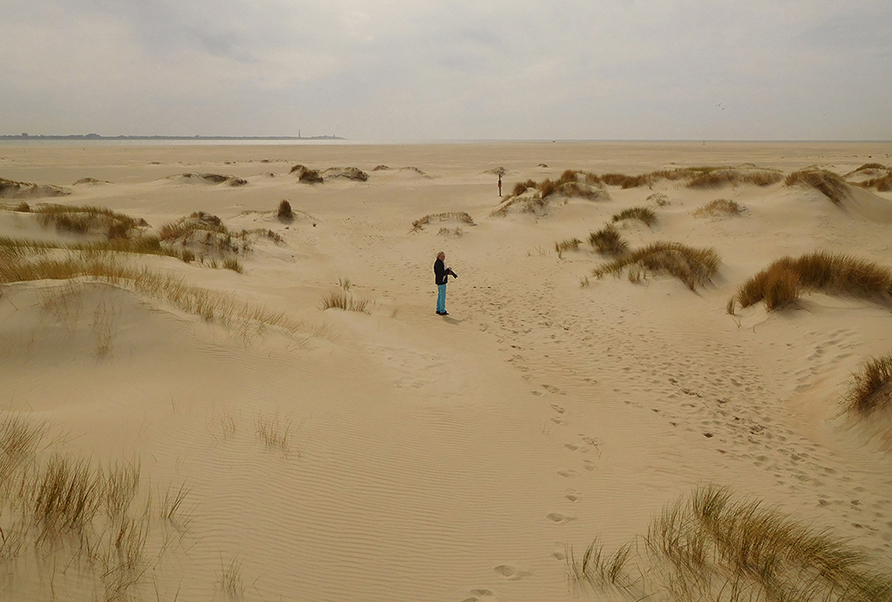 Fransien als een kleine stip in de verlatenheid van de duinen - Foto: ©Louis Fraanje
