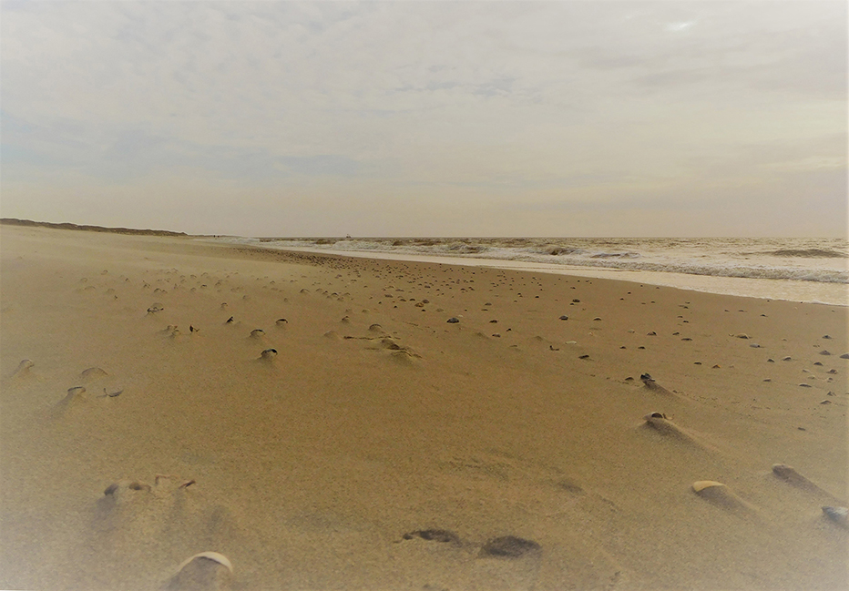 Het strand waar aan de horizon de golven de kustlijn raken - Foto: ©Louis Fraanje