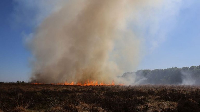 De heidebrrand op de Ginkelse Heide bij Ede - Foto: ©Omroep Gelderland