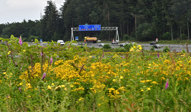 De snelweg A12 is een drukke verkeersader op de Veluwe – Foto: ©Louis Fraanje