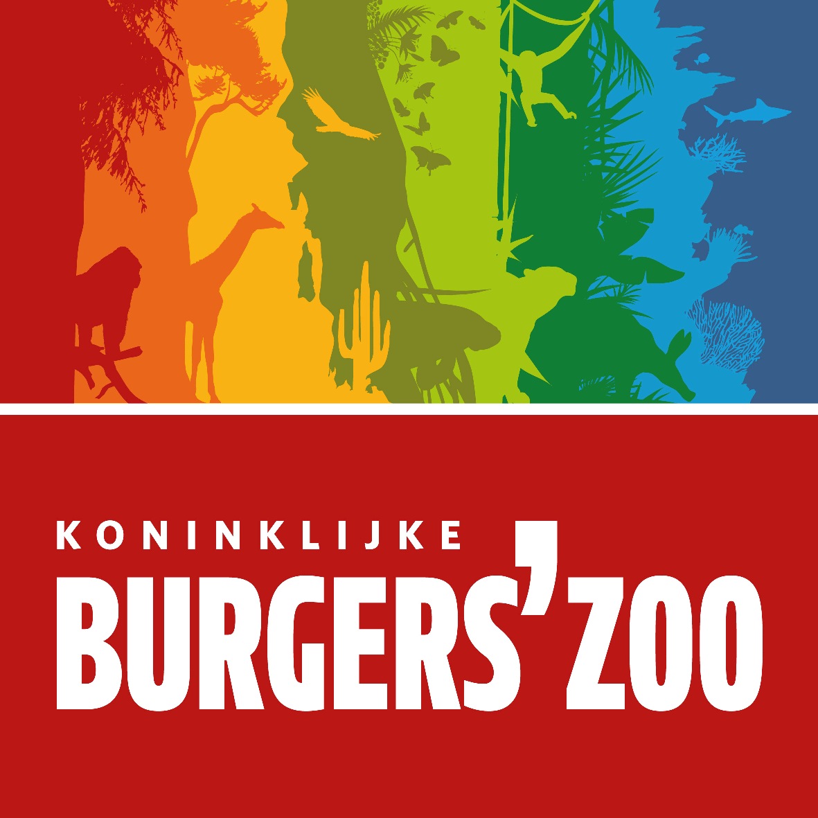 BurgersZoo_stack_NL_FC