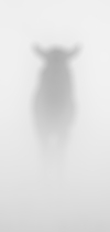 silhouet in de mist 