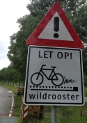 wildrooster