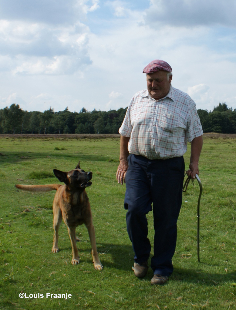 Herder Cos Mouw op pad met zijn Mechelse herder Tromp - Foto: ©Louis Fraanje