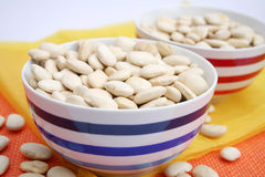 http://www.dreamstime.com/royalty-free-stock-image-big-white-beans-image11498856