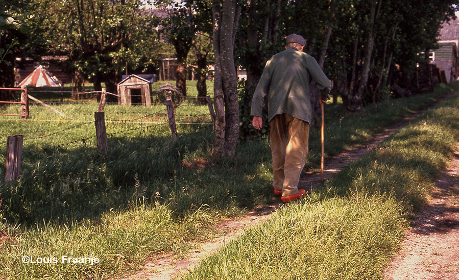 Tot bijna aan zijn dood, liep Brons nog dagelijks een stukje langs de weilanden - Foto: ©Louis Fraanje