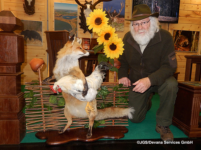 De vos kijkt verontwaardigd naar die man met die grijze baard - Foto: ©JGS/Devana Services GmbH