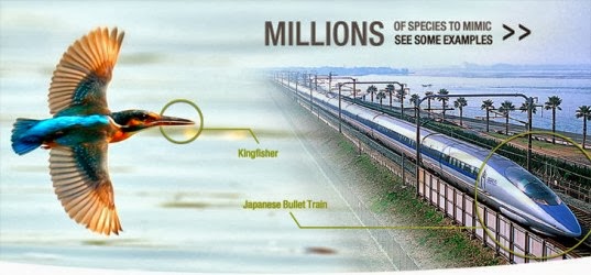 ijsvogel-trein-check-of-deze-mogen-gebruiken-biomimicry-bullet-train-537x250
