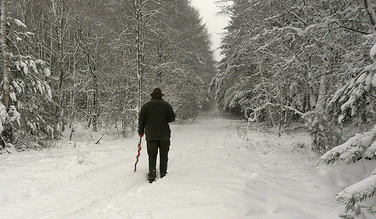 433Huiswaarts door de sneeuw, op weg naar de jachthut - Foto: ©Fransien Fraanje