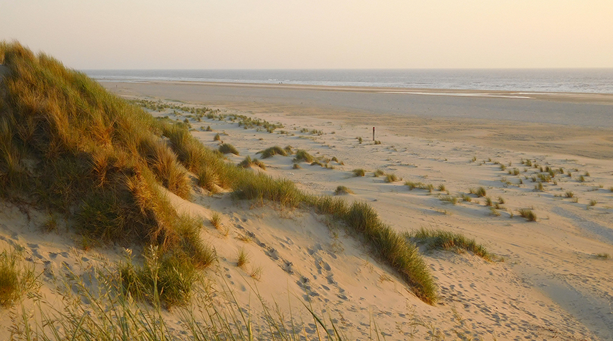 2 foto 2 Duin en strand en zee Texel