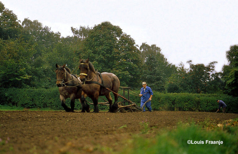 Ploegende paarden op de Trapakkers in Ede vroeger - Foto: ©Louis Fraanje