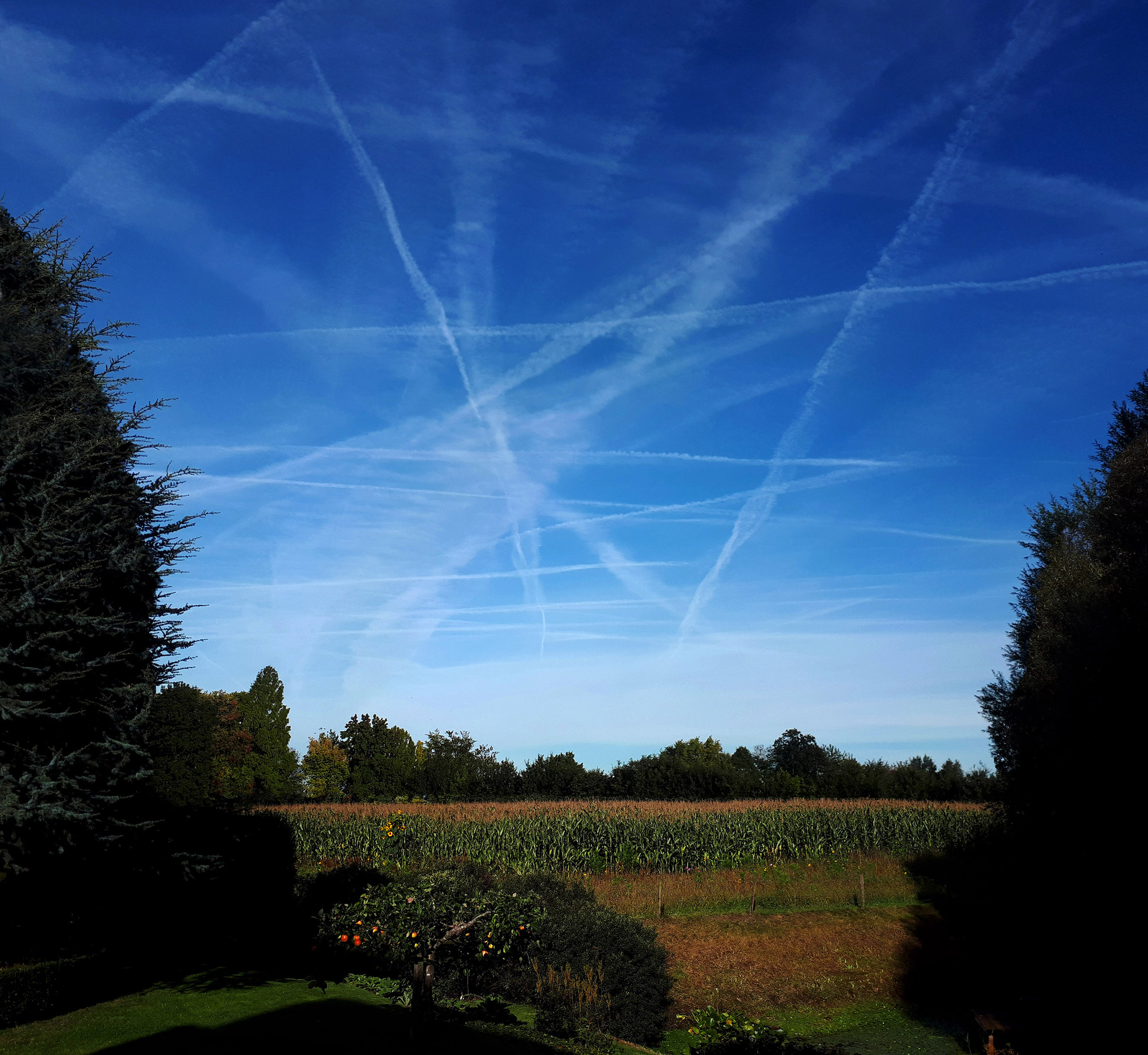 Vliegtuigstrepen aan de hemel - Foto: ©Jan van Uffelen