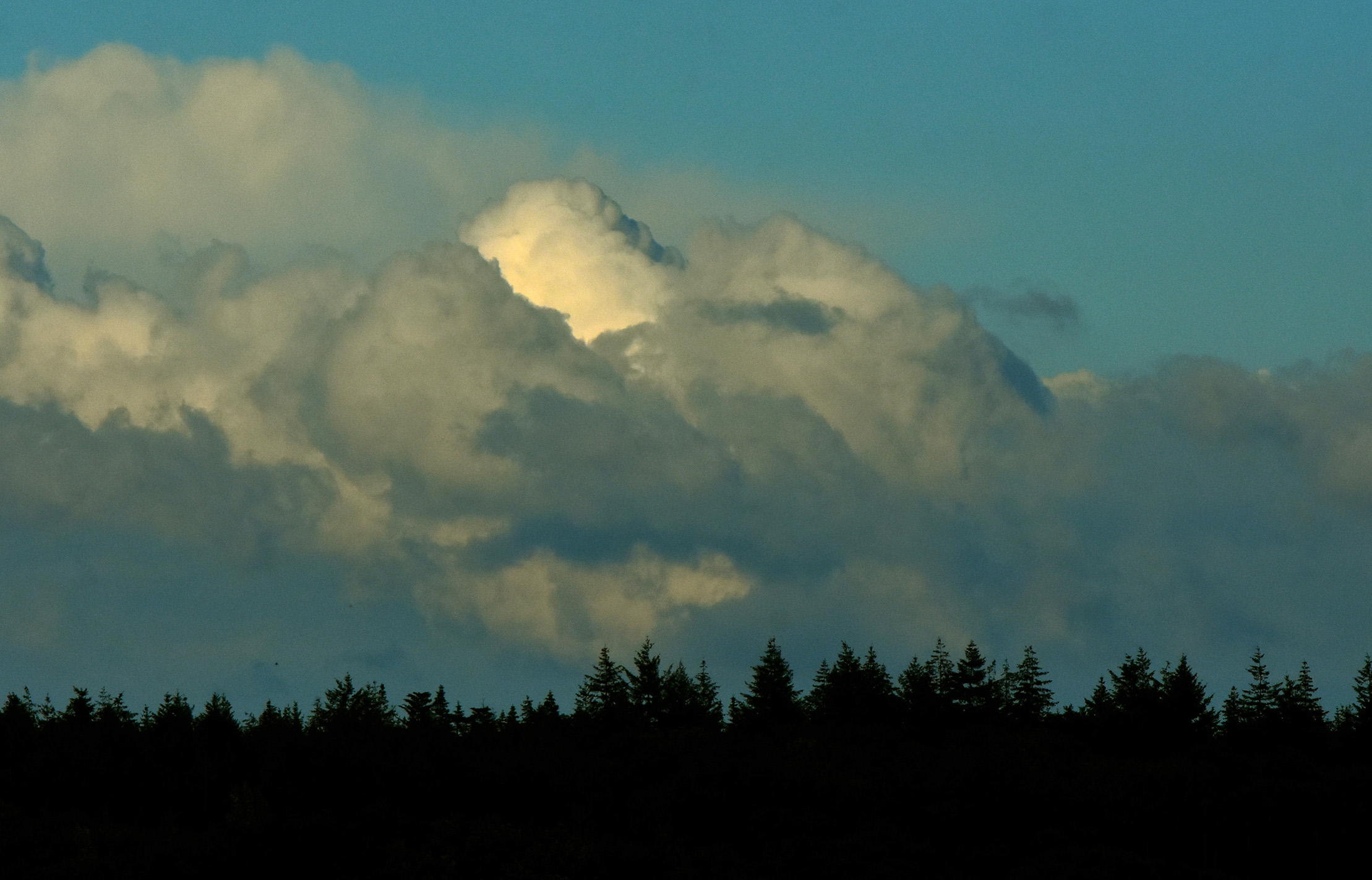 Een hoofd wordt zichtbaar in de wolken boven de Veluwe – Foto: ©Louis Fraanje