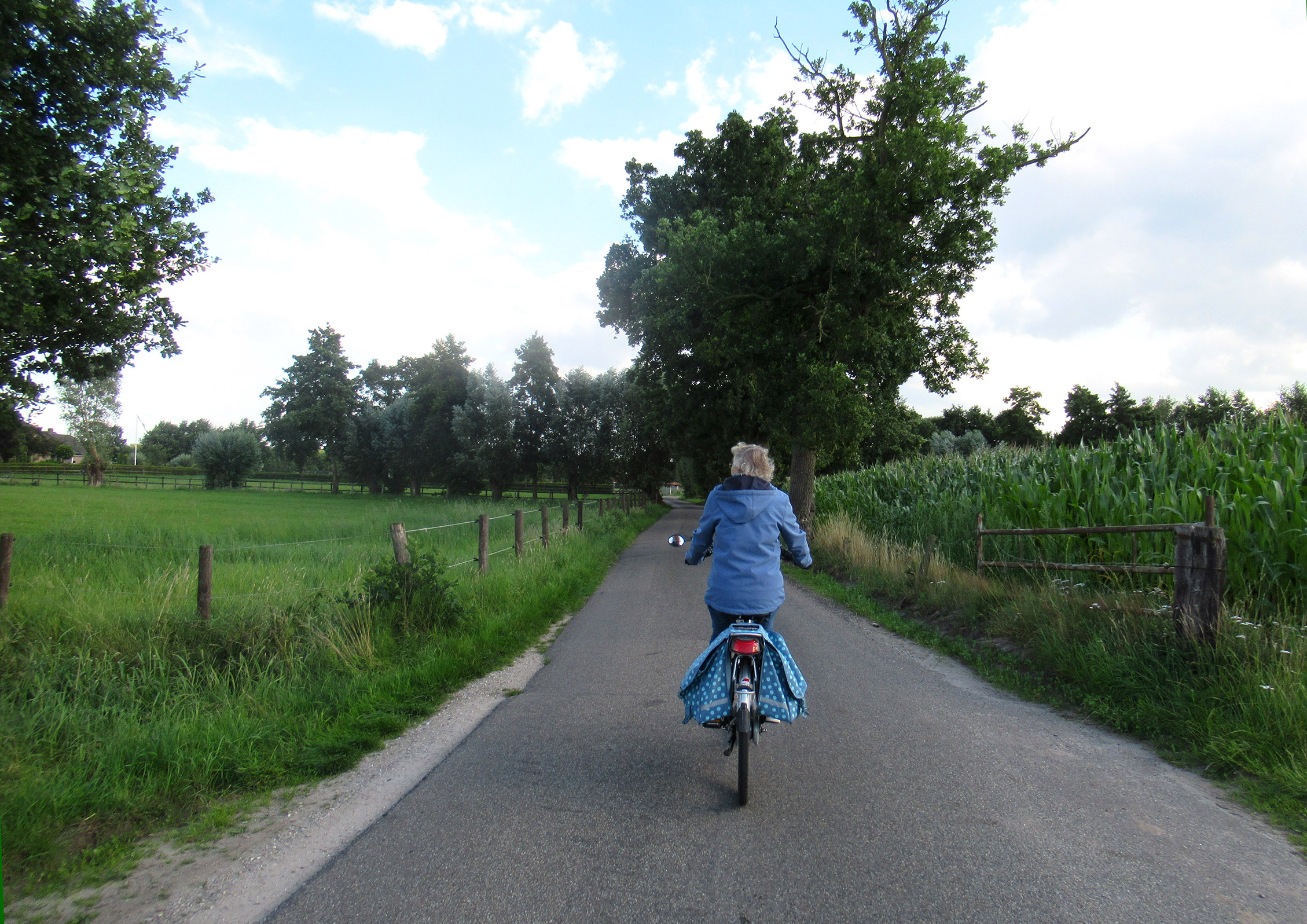 Heerlijk fietsend in het boerenlandschap van De Poel tussen de weilanden en de mais - Foto: ©Louis Fraanje
