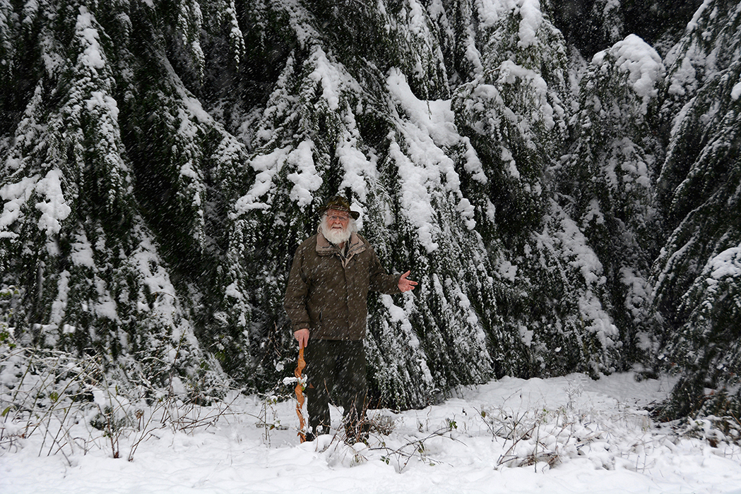 Buitenman Louis Fraanje tussen zijn geliefde Douglassparren in het winterse bos op de Veluwe – Foto: ©Fransien Fraanje