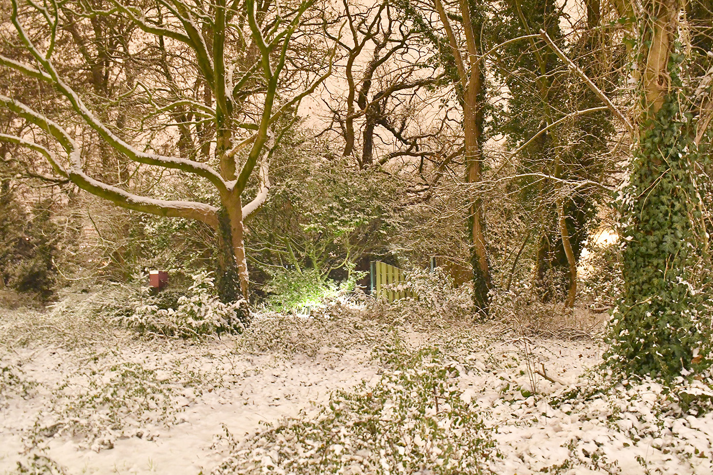 Zo dicht bij huis tovert de sneeuw een sprookje - Foto: ©Louis Fraanje