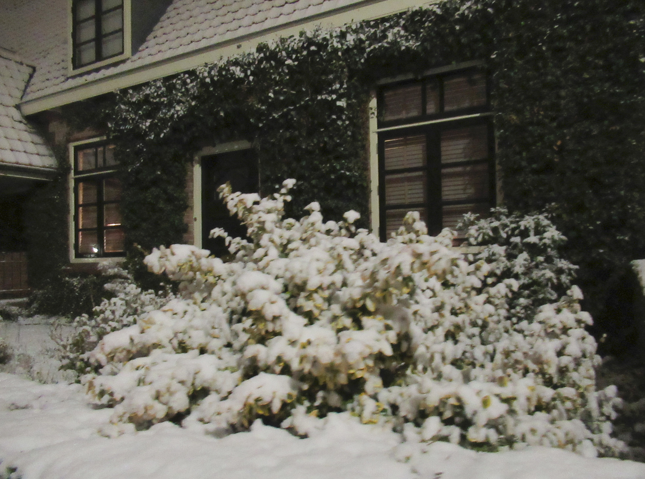 Mooi hoekje in de sneeuw - Foto: ©Fransien Fraanje