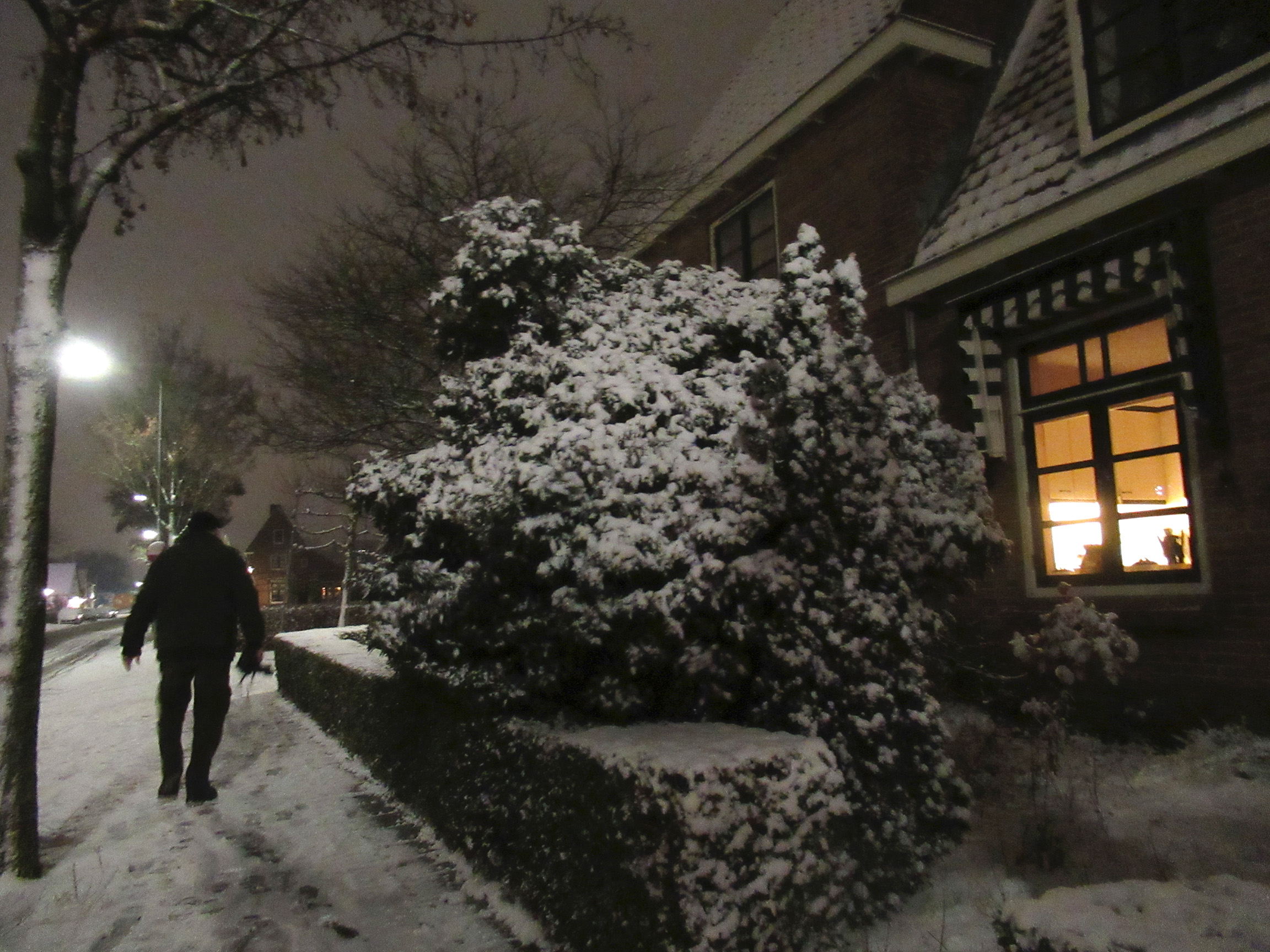 Heerlijk zo'n wandeling in de sneeuw - Foto: ©Fransien Fraanje