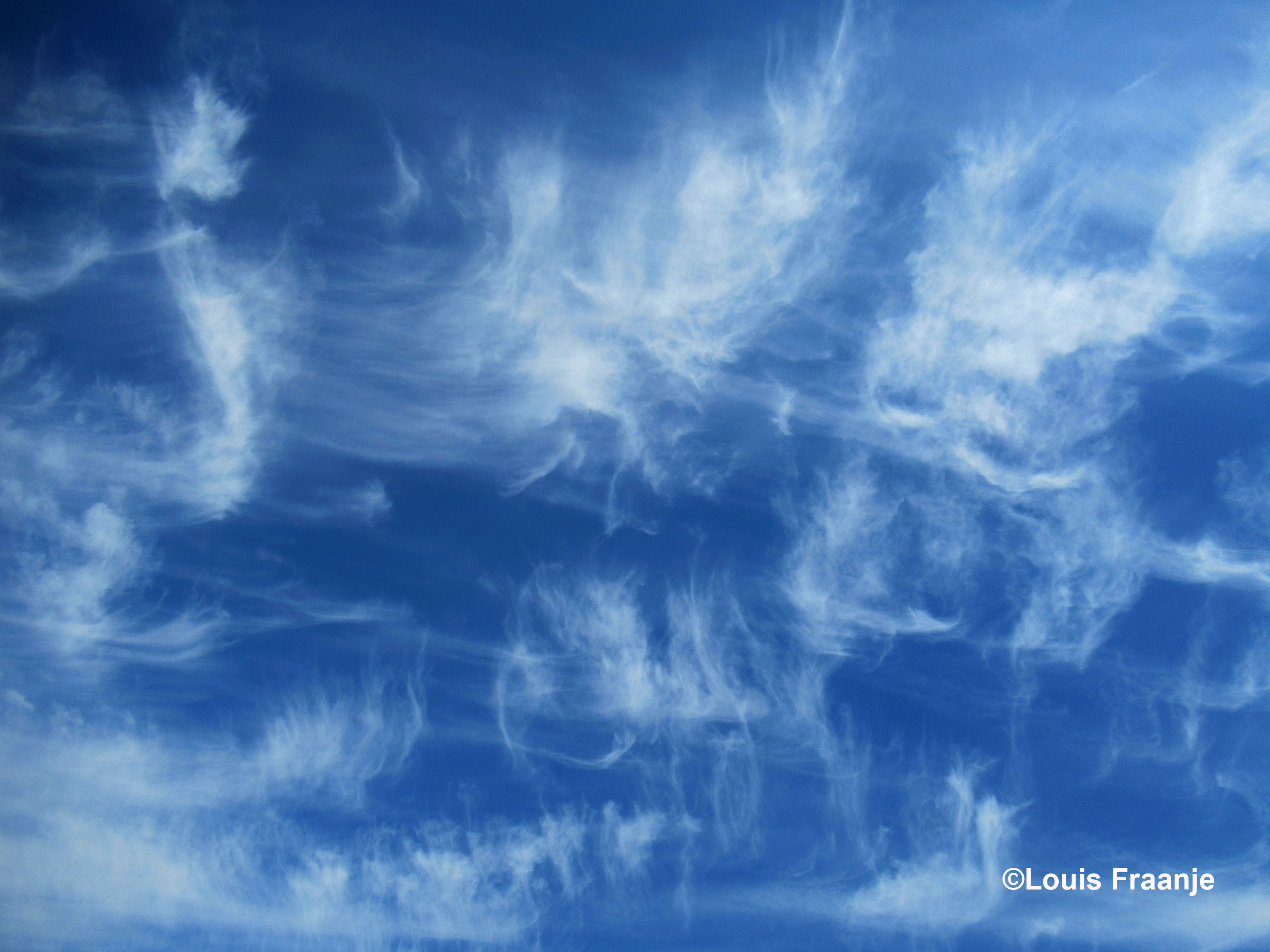 We blijven genieten van de schitterende windveren aan de blauwe hemel boven ons - Foto: ©Louis Fraanje