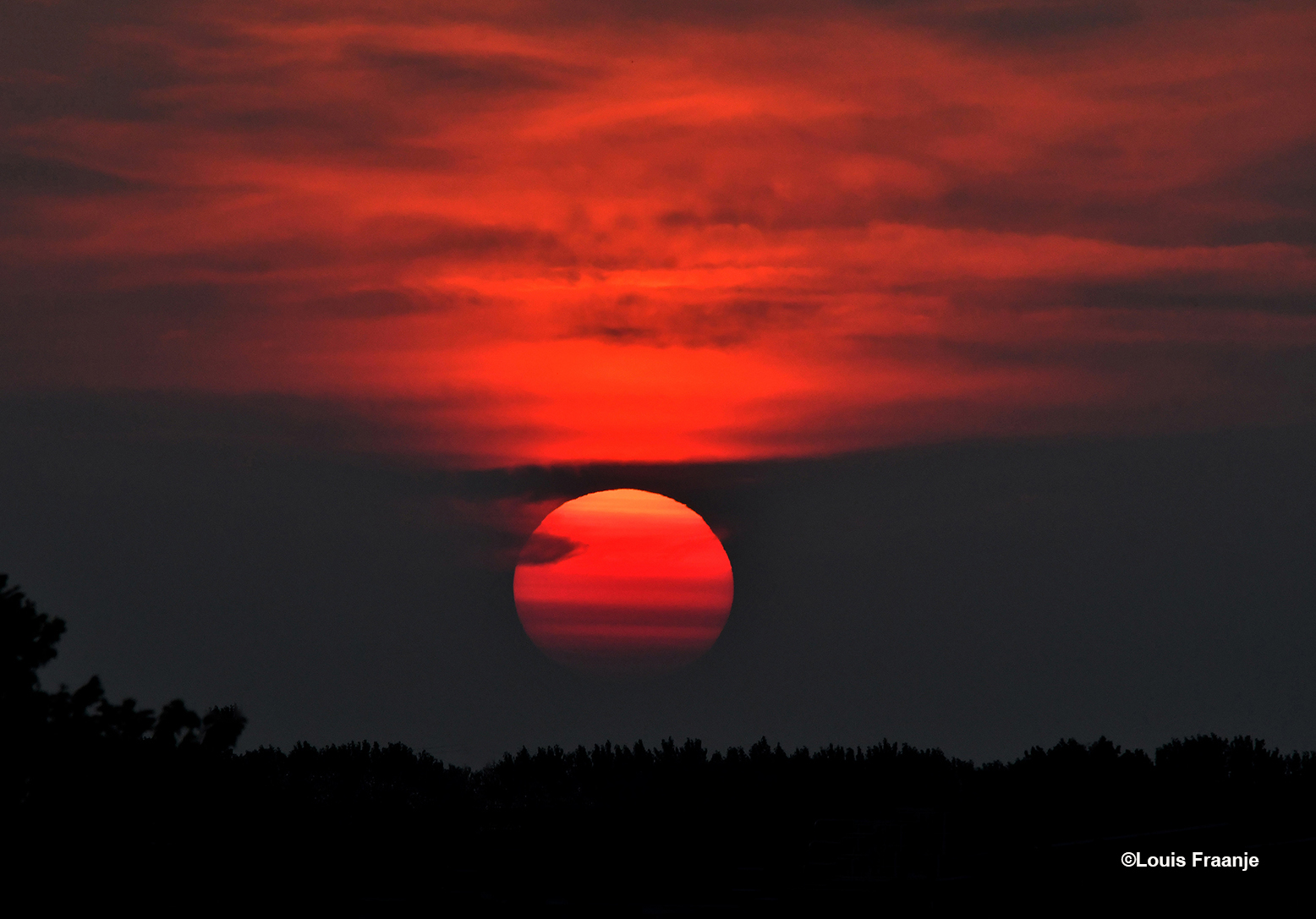 Een prachtige roodgekleurde ronde bal, hing vanavond boven de bossen van de Veluwe - Foto: ©Louis Fraanje