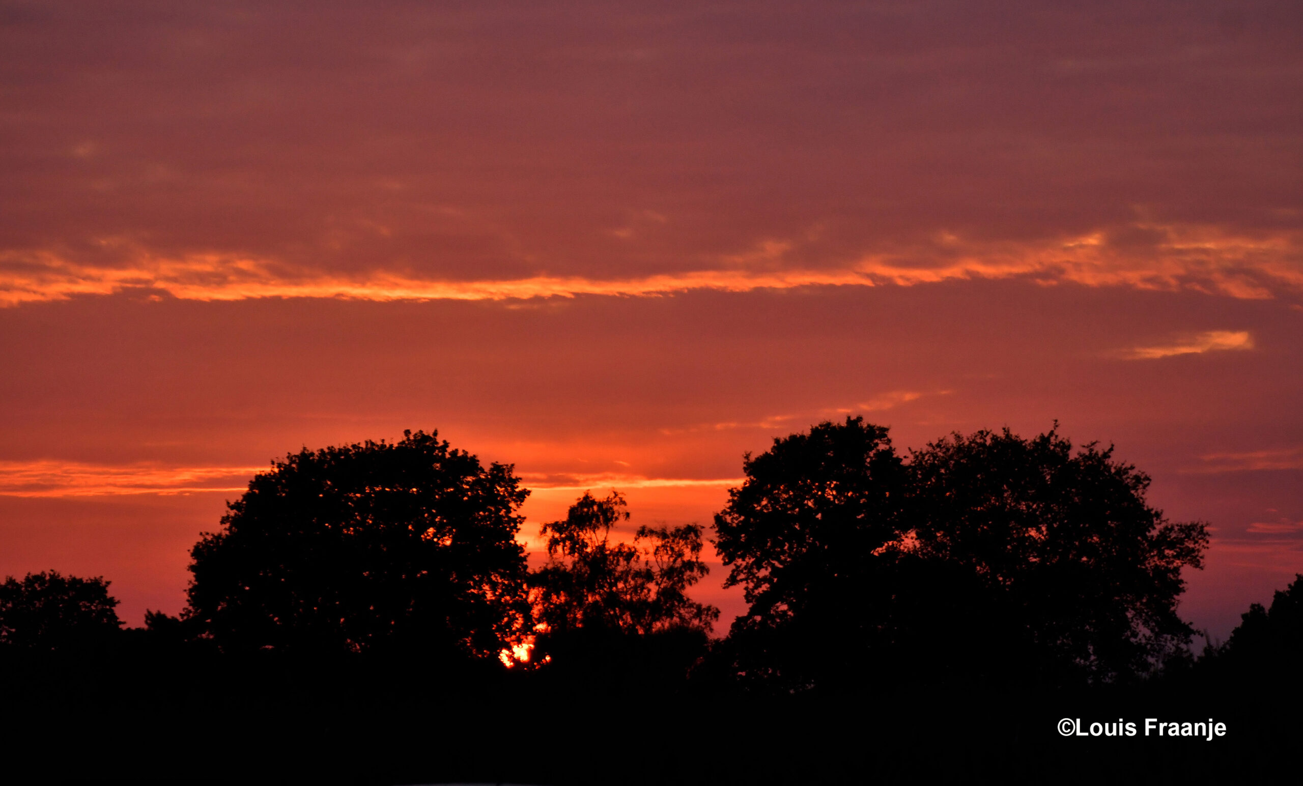 De avondzon verdwijnt achter de Veluwse bossen en kleurt de hemel vlammend rood - Foto: ©Louis Fraanje