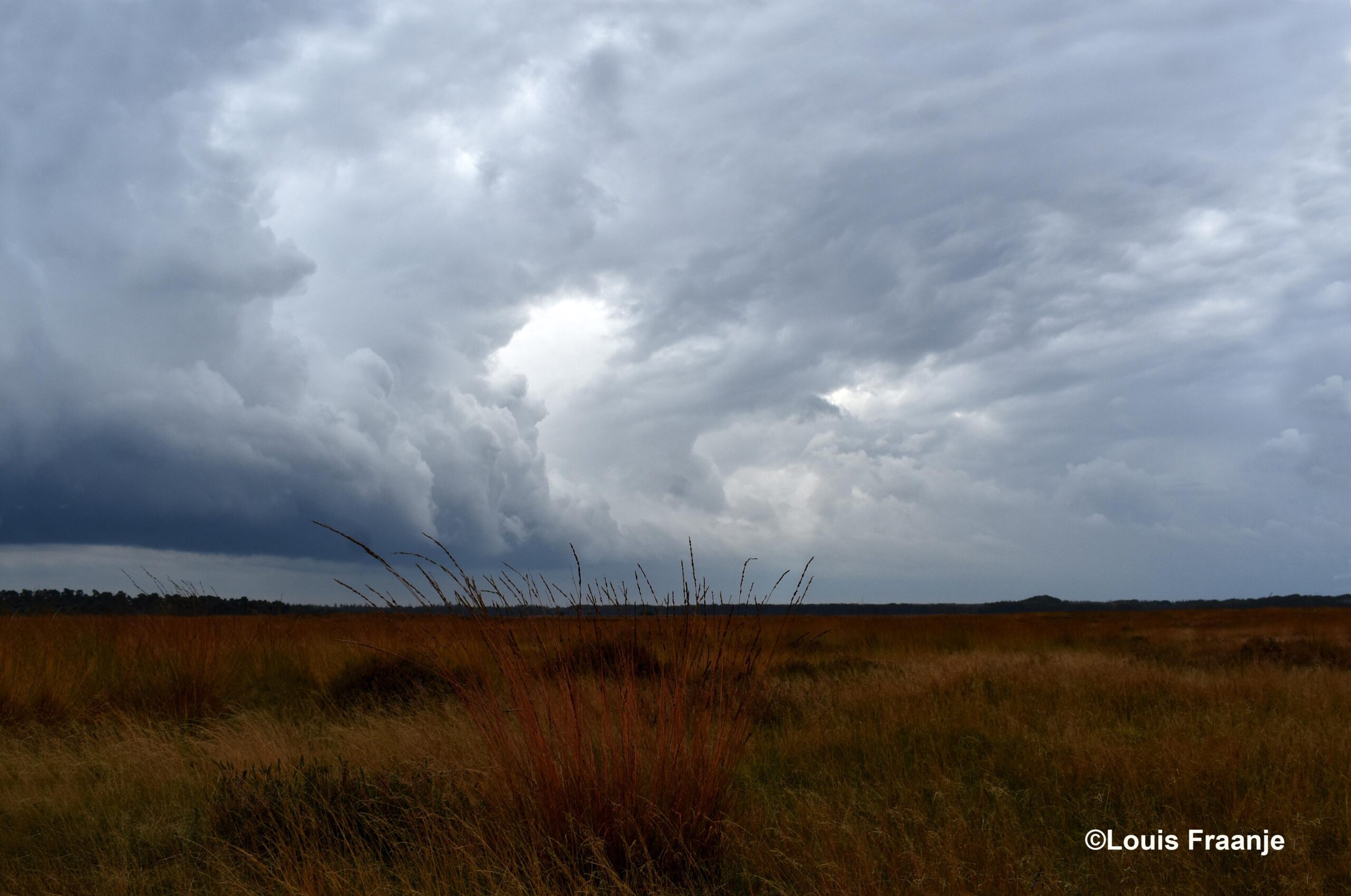 Een wilde wolkenlucht boven het Reemsterveld - Foto: ©Louis Fraanje
