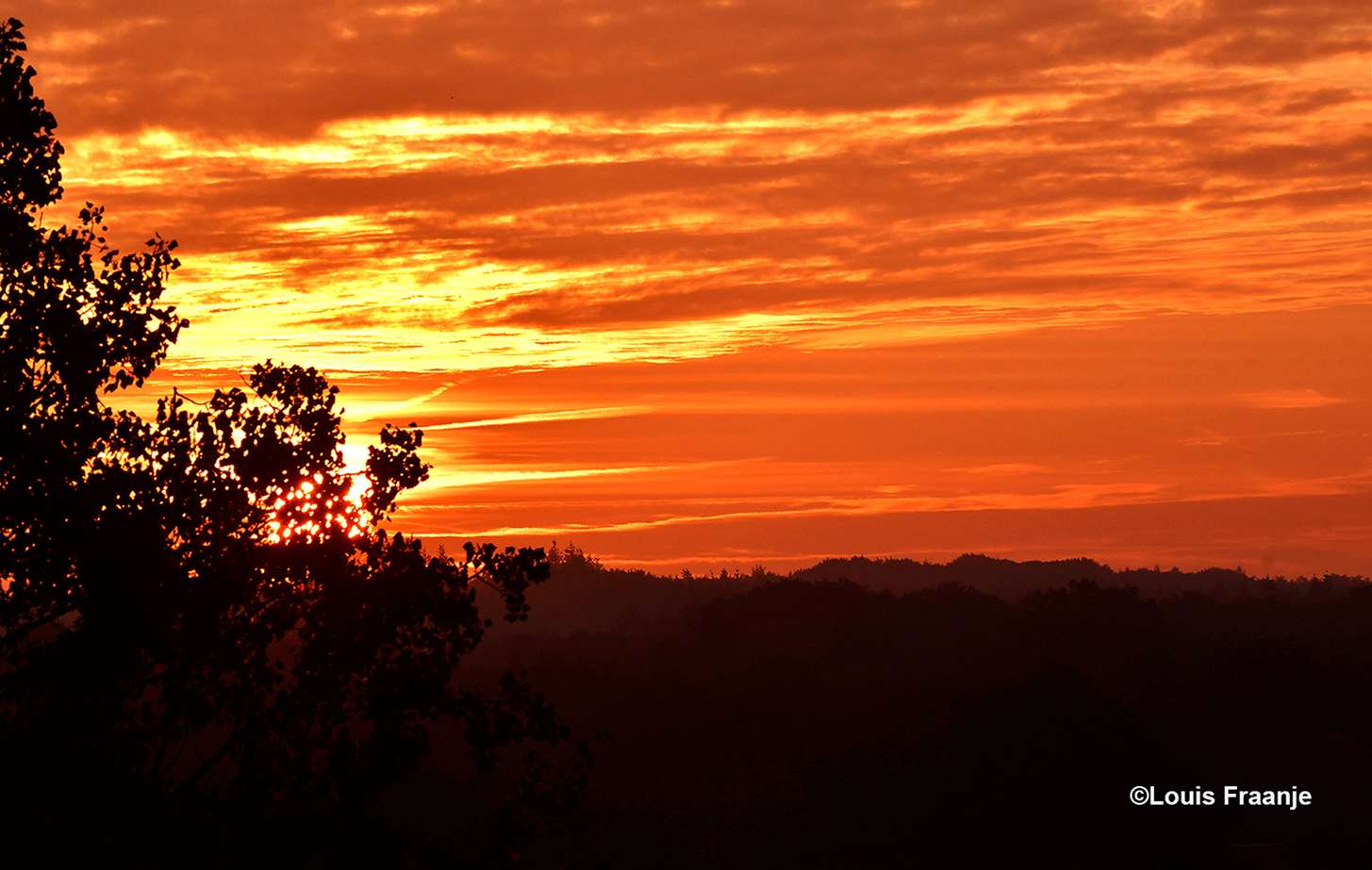 Kleurrijke zonsopkomst boven de Veluwse bossen - ©Louis Fraanje