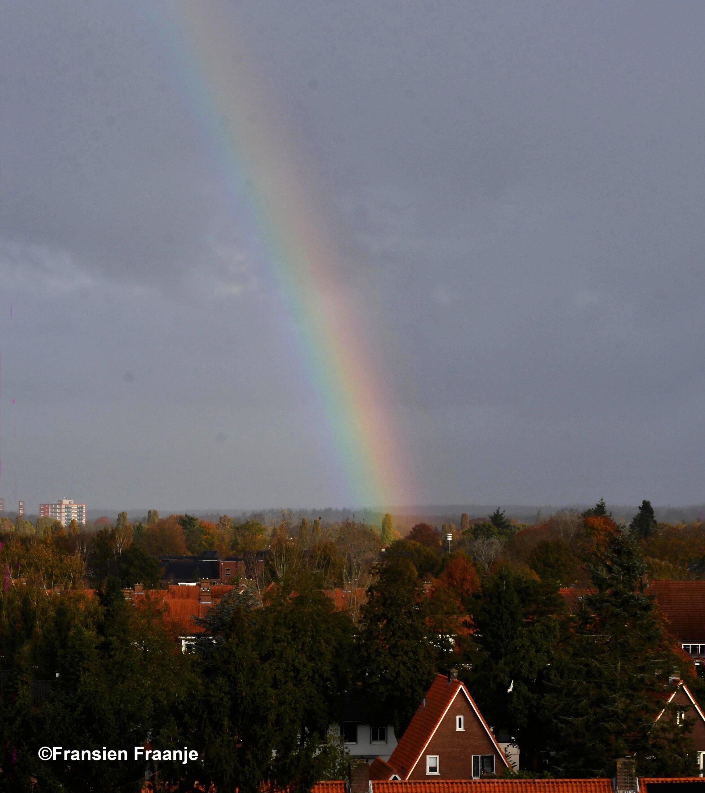 De regenboog boven Ede-Zuid - Foto: ©Fransien Fraanje 