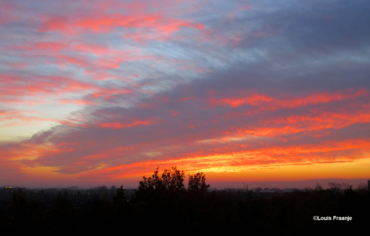 Na zonsondergang kleurde de hemel vlammend geel en rood boven de bossen van de Veluwe - Foto: ©Louis Fraanje 