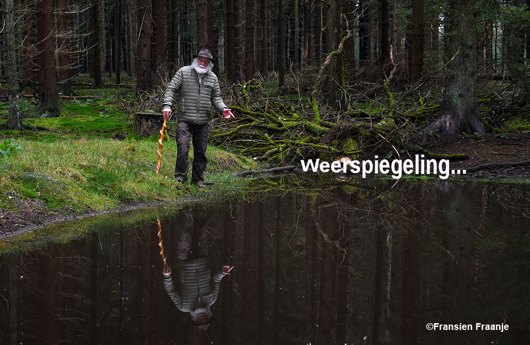 Weerspiegeling - Foto: ©Fransien Fraanje