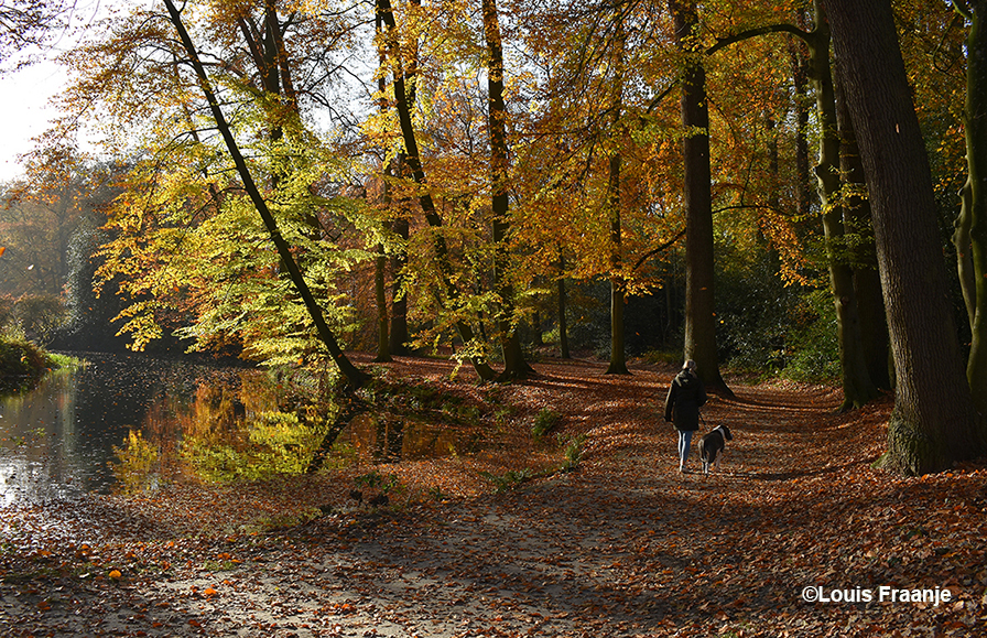 De Renswoudenaren zijn best trots op hun bos en genieten er dan ook van met volle teugen - Foto: ©Louis Fraanje 
