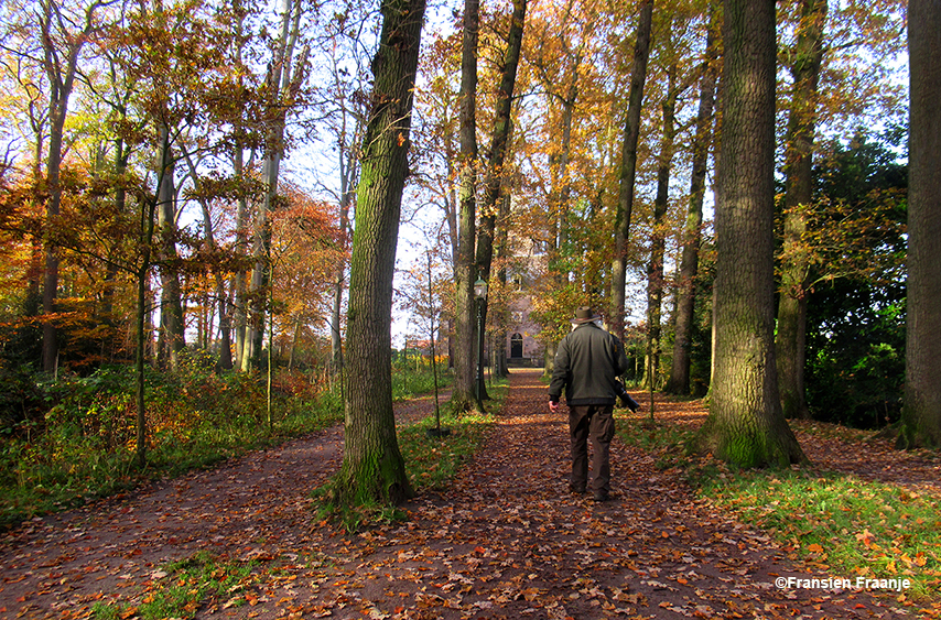 Louis wandelt door de prachtige bomenrij naar de Koepelkerk - Foto: ©Fransien Fraanje