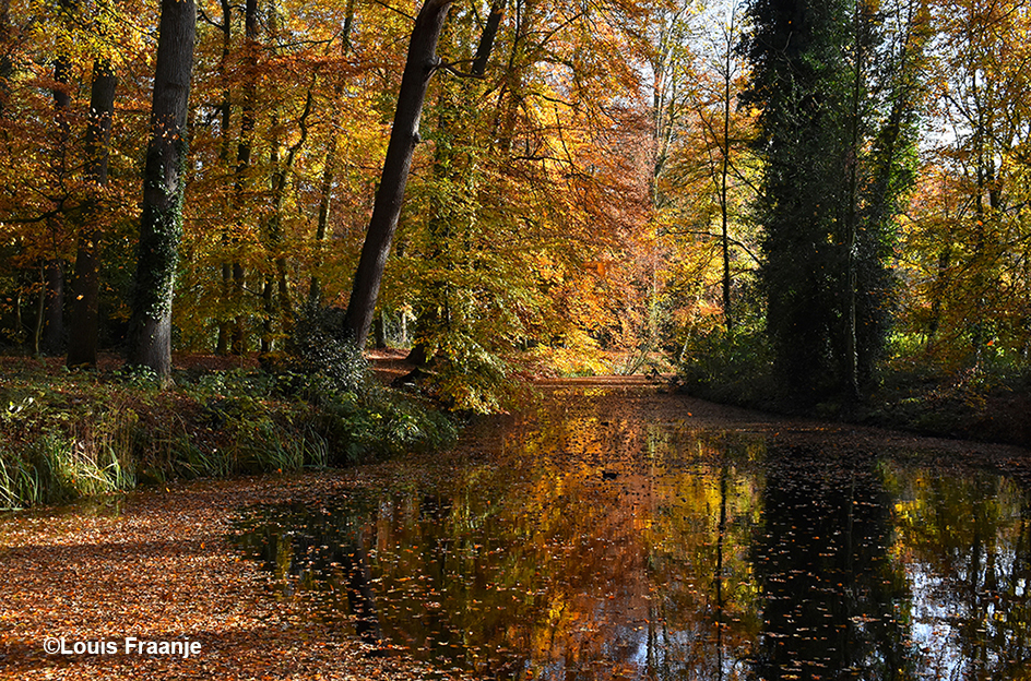 De prachtige herfstkleuren blijven ons boeien, je raakt hier nooit uitgekeken - Foto: ©Louis Fraanje