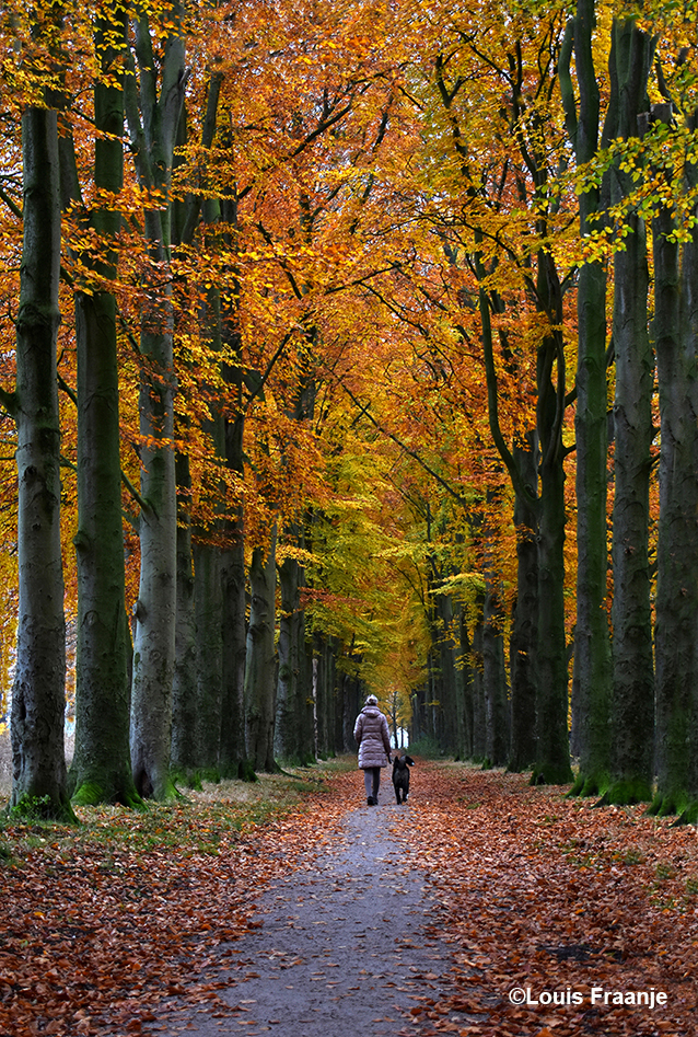 Komt er ineens een aardige jongedame met haar hond in beeld wandelen - Foto: ©Louis Fraanje