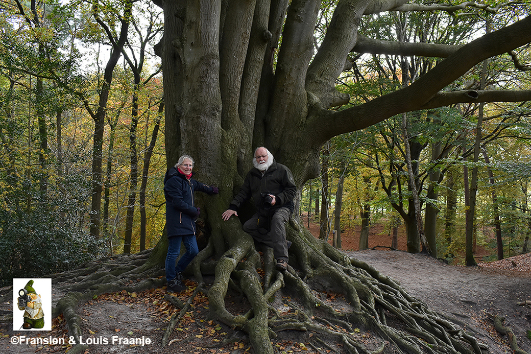 Samen bij de 'Sprookjesboom' in het Wilbrinkbos te Voorthuizen - Eigen foto: ©Fransien & Louis Fraanje