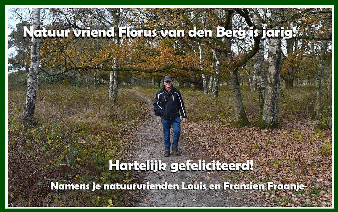 Natuurvriend Florus van de Berg zwerft over de Veluwe - Foto: ©Louis Fraanje