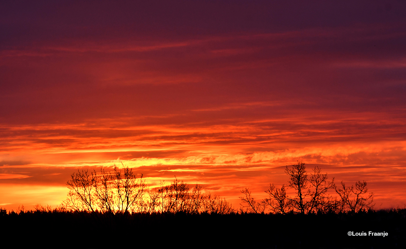 Net voordat de morgenzon verscheen, kleurde de ochtendhemel vlammend rood - Foto: ©Louis Fraanje