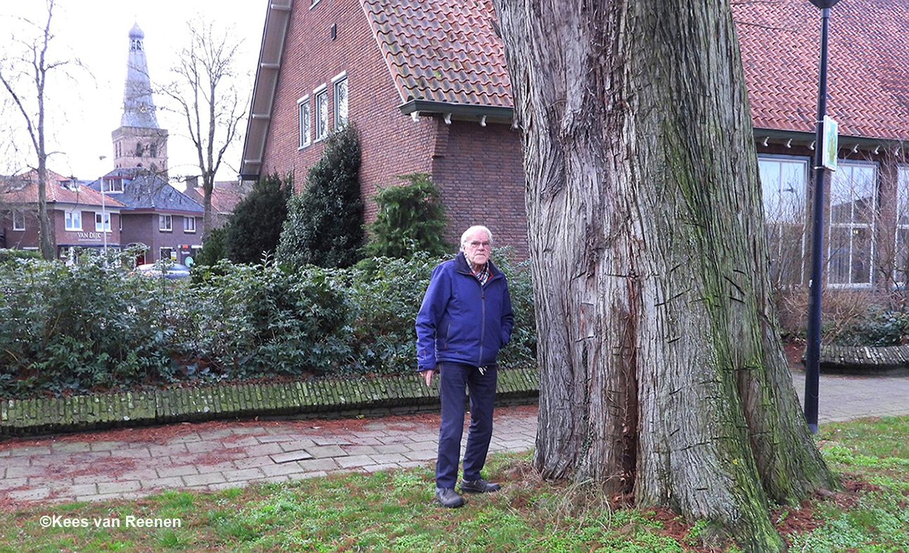 Gerrit de Graaff naast de moerascipres aan de Gasthuisstraat - Foto: ©Kees van Reenen