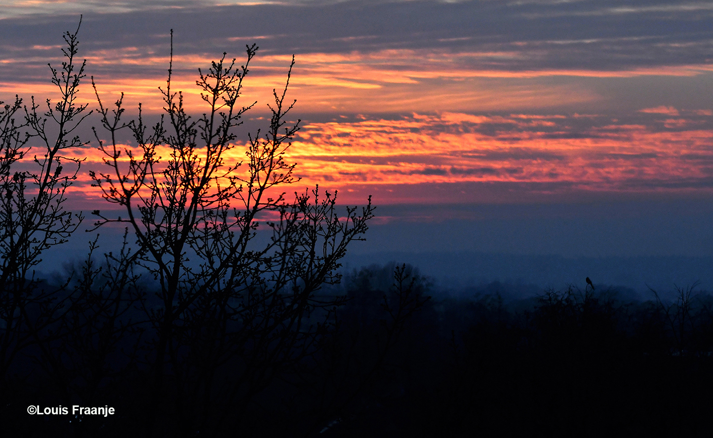 Kleurrijk afscheid van deze zonnige dag in januari - Foto: ©Louis Fraanje