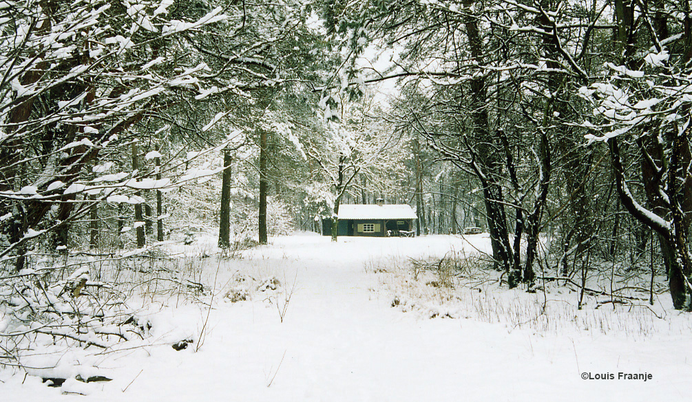 De oude jachthut in het winterse landschap op de Veluwe - Foto: ©Louis Fraanje