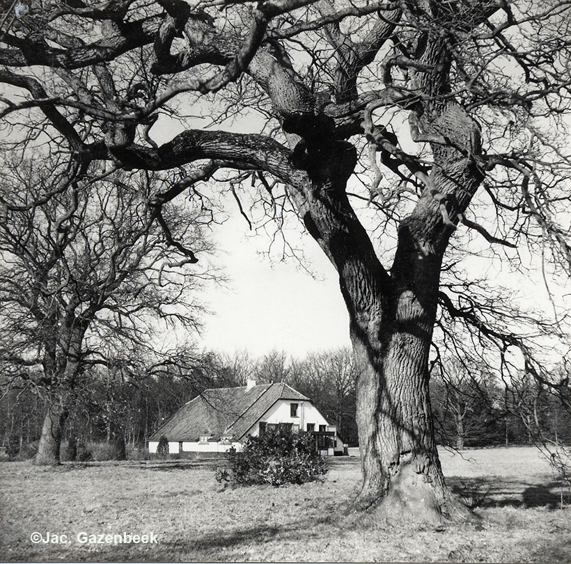 Boswachterswoning "De Pampel". deze opname dateert van zo rond 1960 - Foto: ©Jac. Gazenbeek