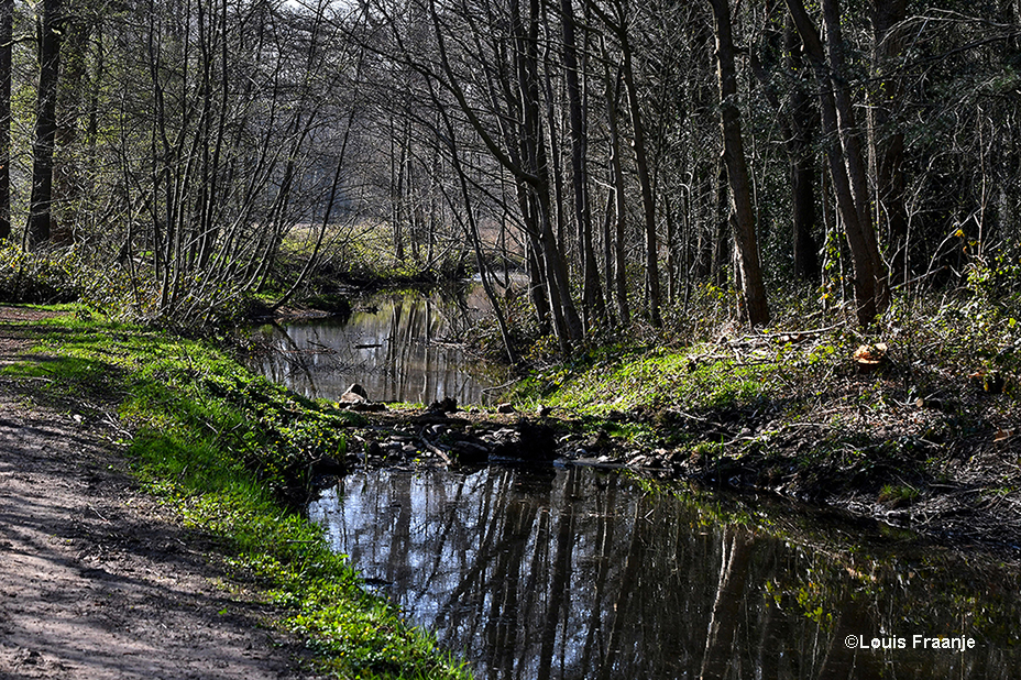 Achter in het bos is het genieten van de rust en stilte langs het water - Foto: ©Louis Fraanje